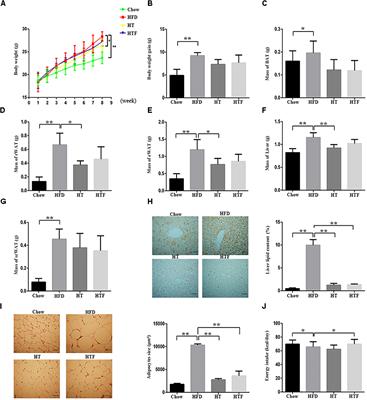 Hydroxytyrosol Improves Obesity and Insulin Resistance by Modulating Gut Microbiota in High-Fat Diet-Induced Obese Mice